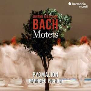 Motetten de Raphael/Ensemble Pygmalion Pichon