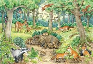 Ravensburger Kinderpuzzle - 05673 Tiere im Wald und auf der Wiese - 2x12 Teile + Wissensposter, Wieso? Weshalb? Warum? Puzzle für Kinder ab 3 Jahren de Marion Kreimeyer-Visse