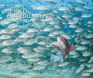 Fischschwärme 2025 - Unterwasser-Natur-Fotografie - Wandkalender 60 x 50 cm - Spiralbindung de Dumont Kalenderverlag