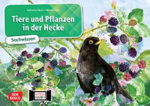 Tiere und Pflanzen in der Hecke. Kamishibai Bildkartenset de Katharina Stöckl-Bauer