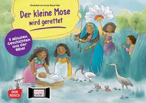 Der kleine Mose wird gerettet. Kamishibai Bildkartenset de Esther Hebert