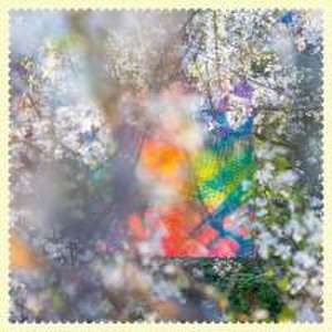 Sixteen Oceans de Four Tet