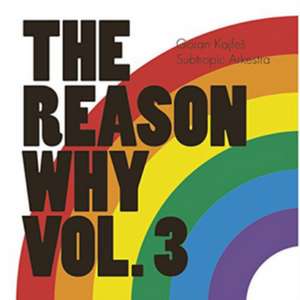 The Reason Why Vol.3 de Goran Kajfes