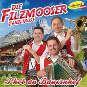 I hob an Bauernhof de Die Filzmooser Tanzlmusi