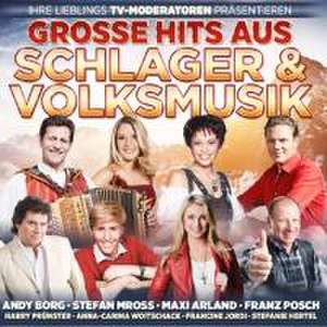 Groáe Hits aus Schlager & Volksmusik de Various