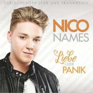 Liebe oder Panik de Nico Names