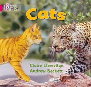 Cats de Claire Llewellyn