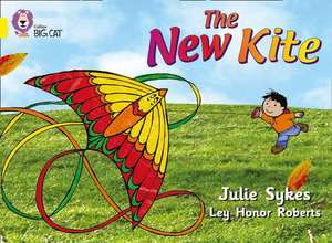 The New Kite de Julie Sykes