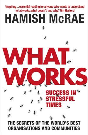 What Works: Success in Stressful Times de Hamish McRae