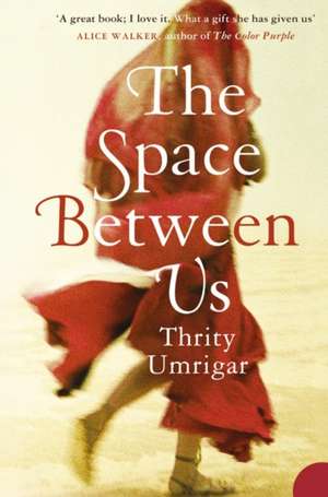 The Space Between Us de Thrity Umrigar