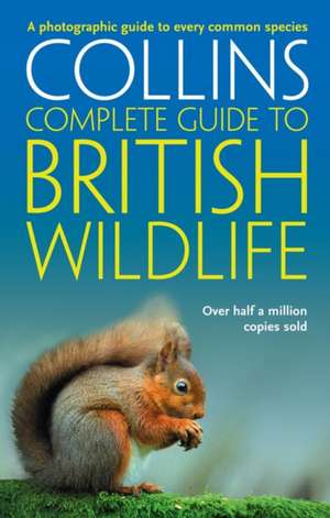 British Wildlife de Paul Sterry