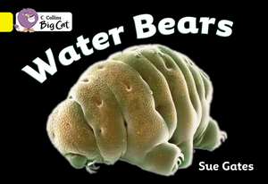 BIG CAT - WATER BEARS de Susan Gates