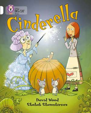 BIG CAT - CINDERELLA de David Wood