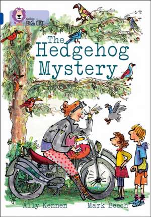 The Hedgehog Mystery de Ally Kennen