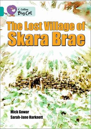 The Lost Village of Skara Brae de Mick Gowar