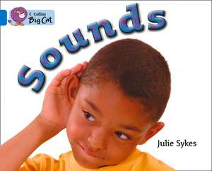 Sounds Workbook de Julie Sykes