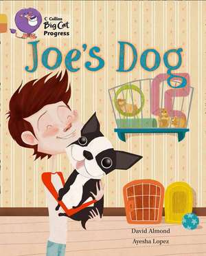 Joe's Dog de David Almond