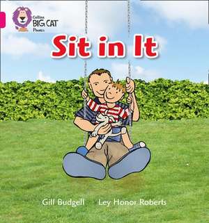 Sit in It de Gill Budgell