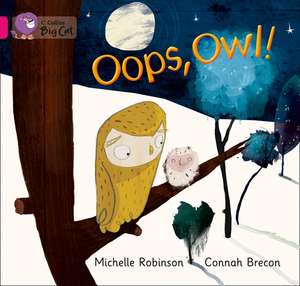 Oops, Owl! de Nancy Robinson Flannery