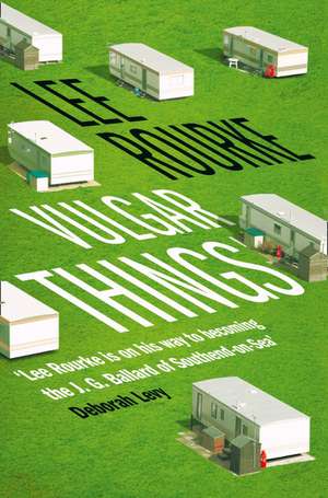 Vulgar Things de Lee Rourke