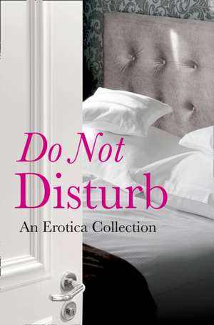 Do Not Disturb de Rachel Kramer Bussel