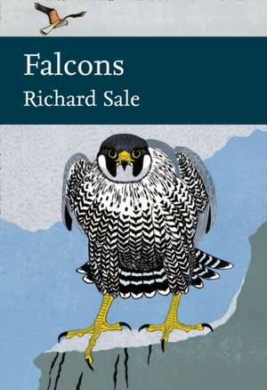 Falcons de Richard Sale