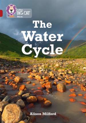 The Water Cycle de Alison Milford