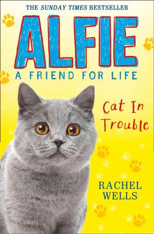 Alfie Cat in Trouble de Rachel Wells