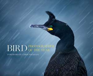 Bird Photographer Of The Year: Bird Photographer of the Year de Bird Photographer of the Year