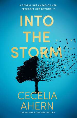 Into the Storm de Cecelia Ahern