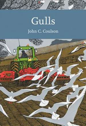 Gulls de John C Coulson