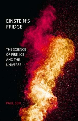 EINSTEINS FRIDGE PB de Paulsen
