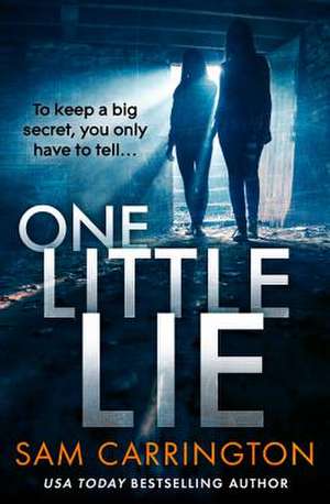 One Little Lie de Sam Carrington