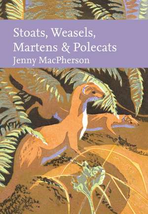 Stoats, Weasels, Martens and Polecats de Jenny MacPherson