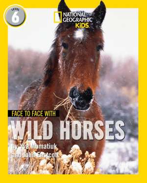 Face to Face with Wild Horses de John Eastcott