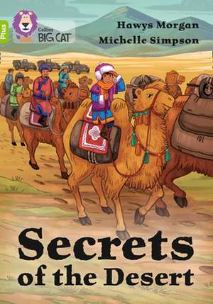 Secrets of the Desert de Hawys Morgan