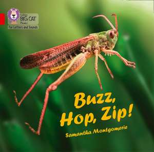 Buzz, Hop, Zip! Big Book de Samantha Montgomerie