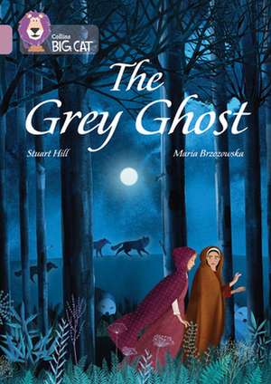 BIG CAT_THE GREY GHOST de Stuart Hill