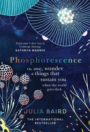 Phosphorescence de Julia Baird