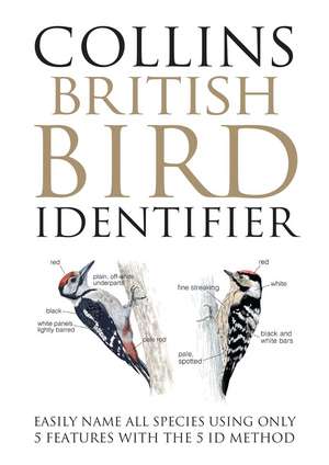 BRITISH BIRD IDENTIFIER PB de Paul Stancliffe