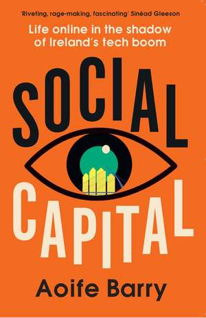 Social Capital de Aoife Barry