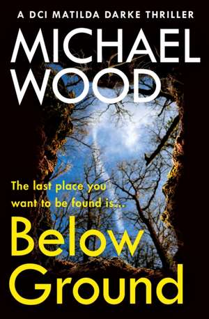 Below Ground de Michael Wood