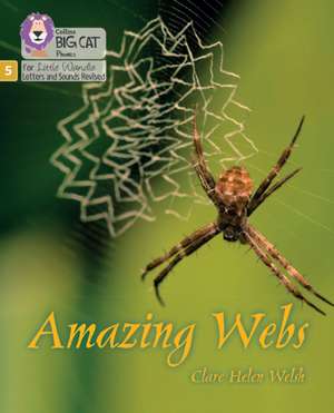 Amazing Webs de Clare Helen Welsh