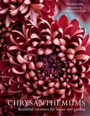 CHRYSANTHEMUMS HB de Naomi Slade