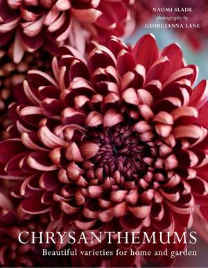 Chrysanthemums de Georgianna Lane