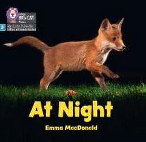 Macdonald, E: At Night