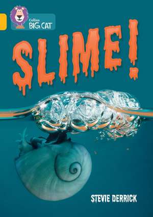 Slime! de Stevie Derrick