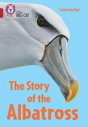 Collins Big Cat - The Story of Albatross de Catherine Barr