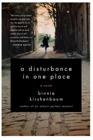 A Disturbance in One Place: A Novel de Binnie Kirshenbaum