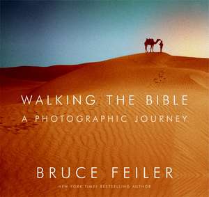 Walking the Bible de Bruce Feiler